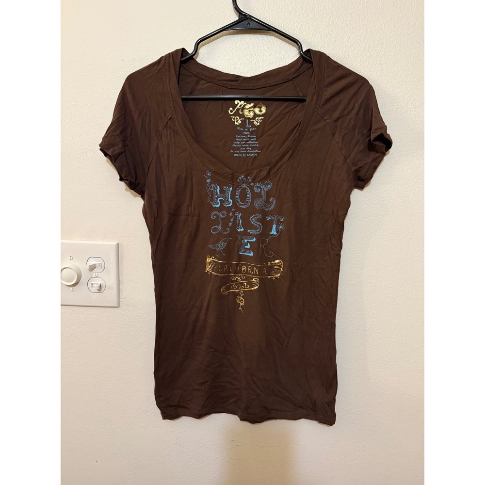 Hollister Vintage Y2K Brown Teal Scoopneck Graphic Foil Tee Size L